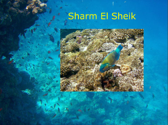 Sharm-El-Sheik
