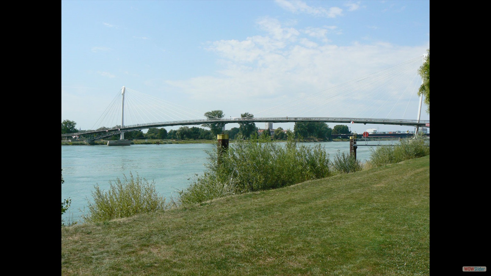 De Rhein bij Kehl.