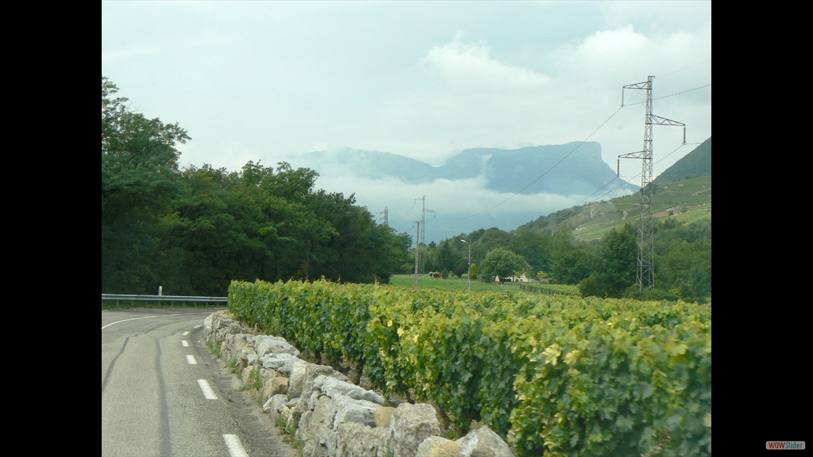 Wijnbouw van de Haute-Savoie.